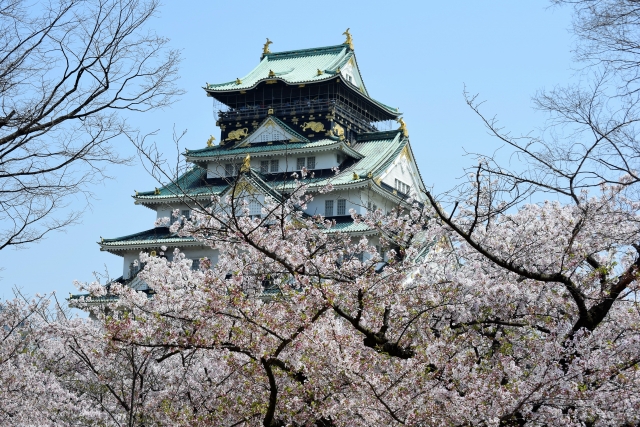 【東成区から行ける】大阪の人気お花見スポットを要チェック！
