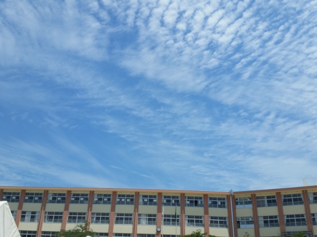 【東大阪市】高井田中学校区で暮らす！